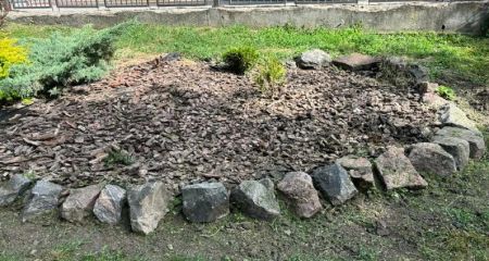 У парку Кривого Рогу викрали цілу клумбу ялівця