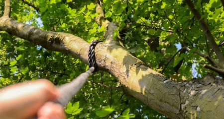 В Кривом Роге мужчина покончил с собой в парке