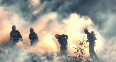 Діти підпалили один із пляжів у Дніпрі (ФОТО, ВІДЕО)