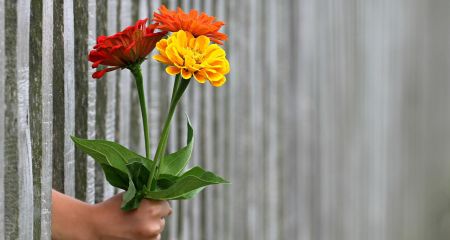 У Дніпрі розгулював напівоголений чоловік з букетом у руках (ВІДЕО)